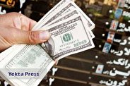 نرخ‌گذاری دلار در کانال‌های تلگرامی در روز تعطیل!