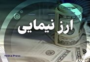 قیمت دلار توافقی نیما ۶۶هزار ۱۷۲ تومان شد