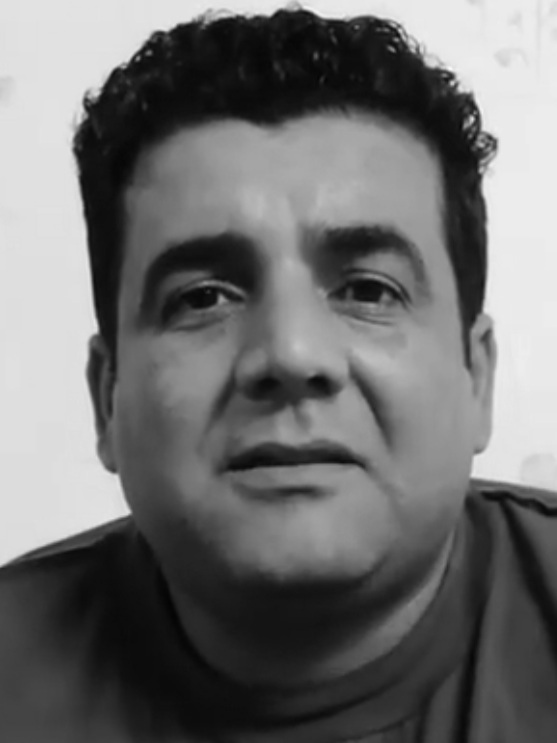 پروانه ها بیشتر از یک روز عاشق نمی شوند