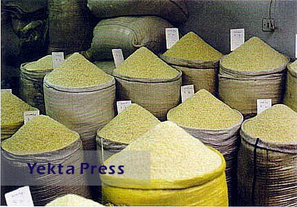 قیمت‌گذاری دستوری و محدودیت‌های توزیع برنج در کشور