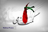 روزی به نام سربازان گمنام