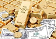 قیمت سکه ۷۴ میلیون و ۳۰۰ هزار تومان شد