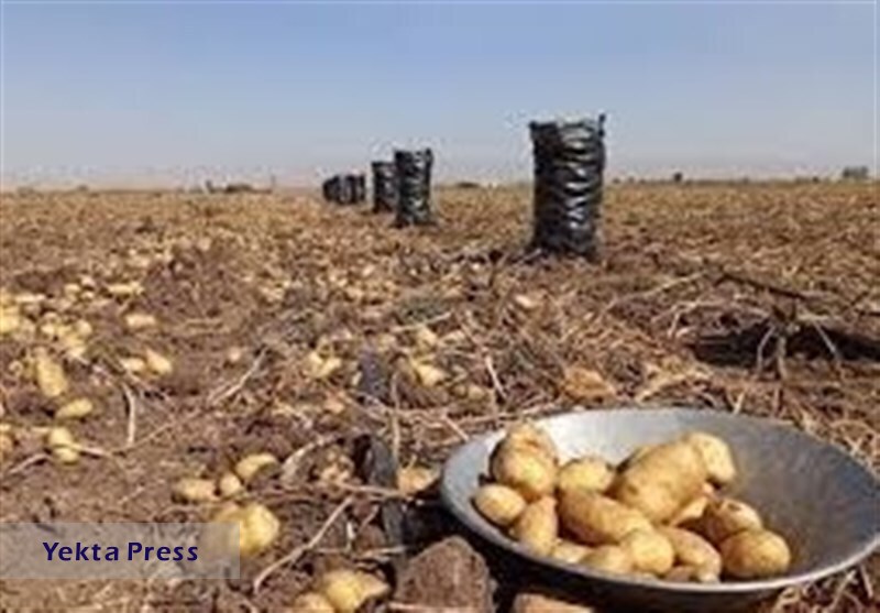 دلایل افزایزمینی تا ۶۰ هزار تومان چه بود؟