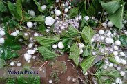 هشدار نارنجی به کشاورزان در پی بارش تگرگ/ ۱۶ استان درگیر بارش
