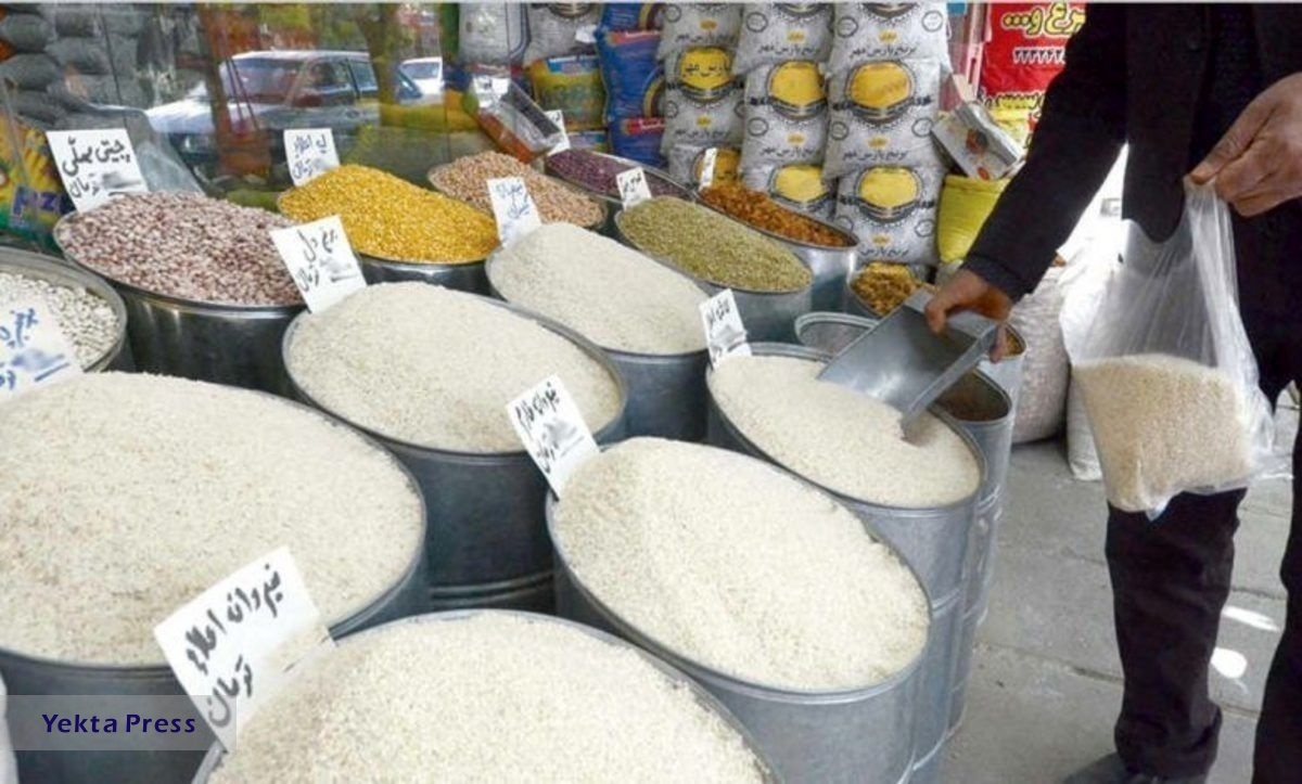 سه برابنج وارد کردند تا برنج ایرانی نابود شود