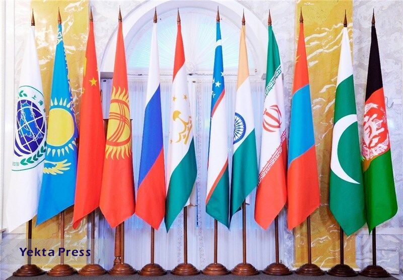 رشد 15 درصدی صادرات ایران به کشورهای عضو سازمان همکاری‌ اسلامی