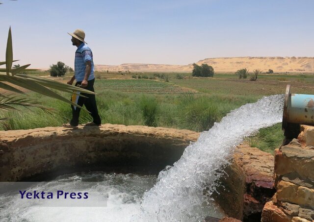 قیمت‌گذاری دستوری در زمینه کشاورزی حذف می‌شود؟