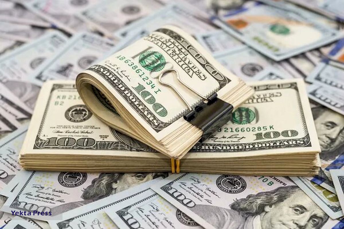 قیمت دله‌شنبه ۶ شهریور