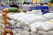 آغاز توزیع محموله ۲۴۰۰ ‌تُنی برنج خارجی ‌در بازار