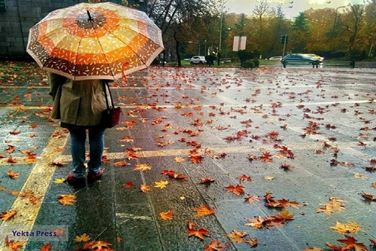 کاهش ۱۱.۳ درا در کشور