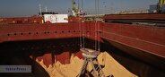 سیاست‌های تامین نهاده‌های دامی و کالاهای اساسی تغییر می‌کند؟