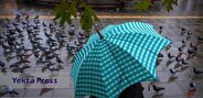 کاهش دما و وزش باد شدید در راه
