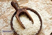 افزایش آرسنیک برنج در اثر تغییر اقلیم
