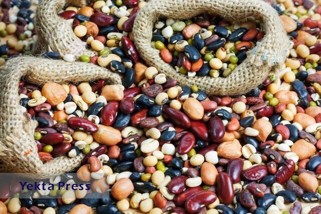 ثبت سفارش 25 الی 30 هزار تن حبوبات