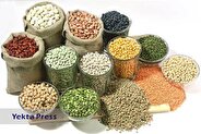 عرضه‌های قطره‌چکانی وگرانی حبوبات زیر سایه صادرات بی‌رویه