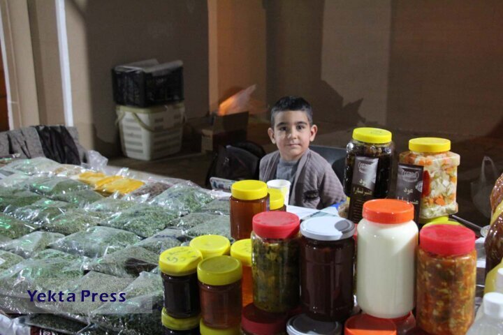 آمارهای جهانی مشاغل خانگی/ چالش‌ها و راهکارهای توسعه مشاغل خانگی در ایران