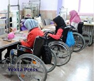 سهم سازمان بهزیستی از بودجه عمومی کشور حدود ۲ درصد است