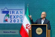هیچ محدودیتی در تبادل تجربه‌ها و مهارت‌ها احساس نمی‌شود