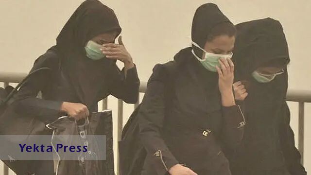 شینا انصاری:همه دستگاه ها در موضوع گردو غبار پای کار باشند