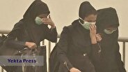 شینا انصاری:همه دستگاه ها در موضوع گردو غبار پای کار باشند