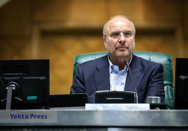 رئیس مجلس شورای اسلامی:ایران گدای امنیت نیست