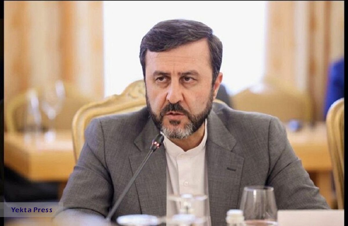 غریب‌آبادی: ایران با ایده‌های مشخصی در گفت‌وگو با اروپا شرکت کرد
